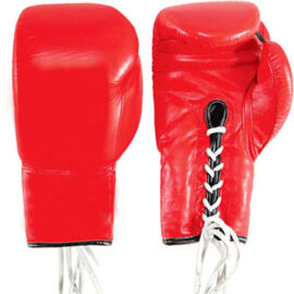 Boxing Training Sparring Gloves